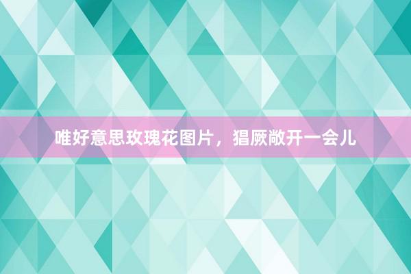 唯好意思玫瑰花图片，猖厥敞开一会儿
