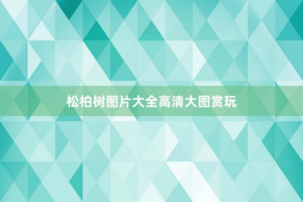 松柏树图片大全高清大图赏玩