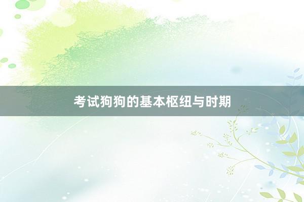 考试狗狗的基本枢纽与时期