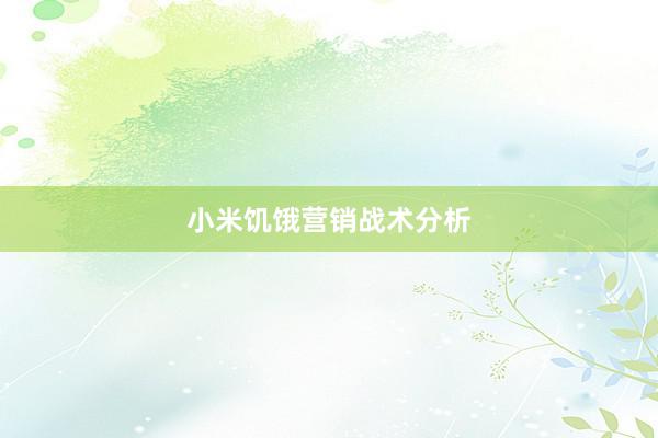 小米饥饿营销战术分析
